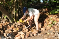 Das Öffnen einer Kokosnuss