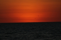 Bird Island - Sonnenuntergang