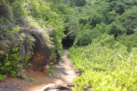 The trail to Anse Major