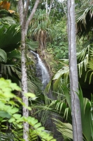 Praslin - Waterfall