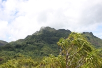 Mt. Seychellois  und Trois Frères