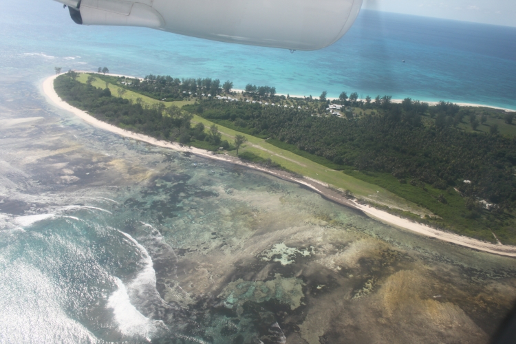 Landing on Bird Island